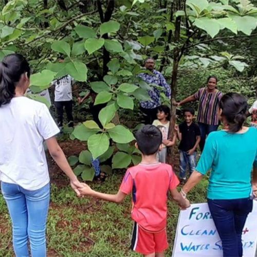  Why change the forest conservation law (I)